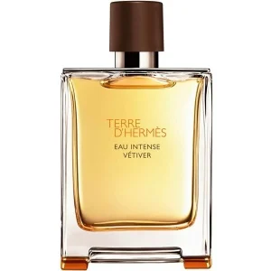 HERMES TERRE VETIVER INTENSE EDP M 100ML