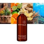 MONTALE AOUD FOREST EDP U 100ML B.O - Image 2
