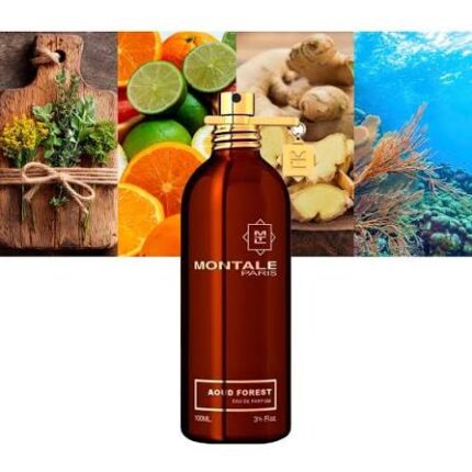 MONTALE AOUD FOREST EDP U 100ML B.O