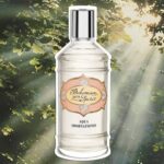 LABSOLUE BOHEMIAN SPIRIT 1979 EDP U 20ML B.O - Image 2