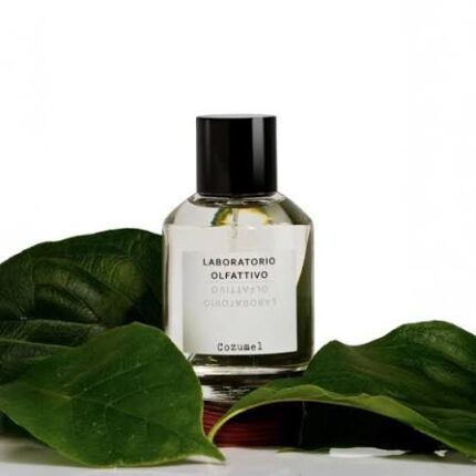 LABORATORIO OLFATTIVO COZUMEL EDP U 100ML B.O
