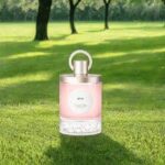 CARON INFINI EDP D 100ML B.O - Image 2