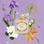 SANTA MARIA NOVELLA L`IRIS EDP U 100ML B.O - Image 2