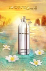 MONTALE SOLEIL DE CAPRI EDP U 100ML B.O - Image 2