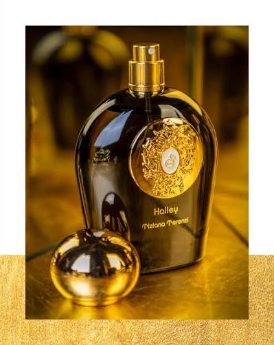 TIZIANA TERENZI HALLEY EDP U 100ML B.O