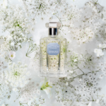 LORENZO VILLORESI IPERBOREA 100ML EAU DE TOILETTE UNISEX B.O - Image 2