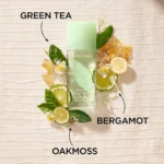 ELIZABETH ARDENT GREEN TEA EDT D 100ML - Image 3
