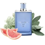 JIMMY CHOO MEN AQUA EDT M 100ML - Image 3