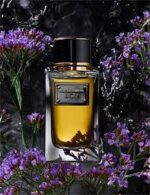 DOLCE GABBANA VELVET SICILY EDP 100ML - Image 3